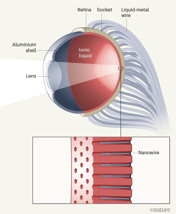 HKUST's conceptual design of a bionic eye