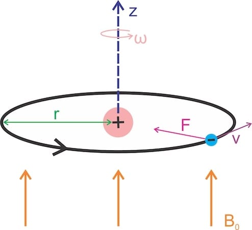 The external magnetic field affects the electron's orbit around the nucleus.